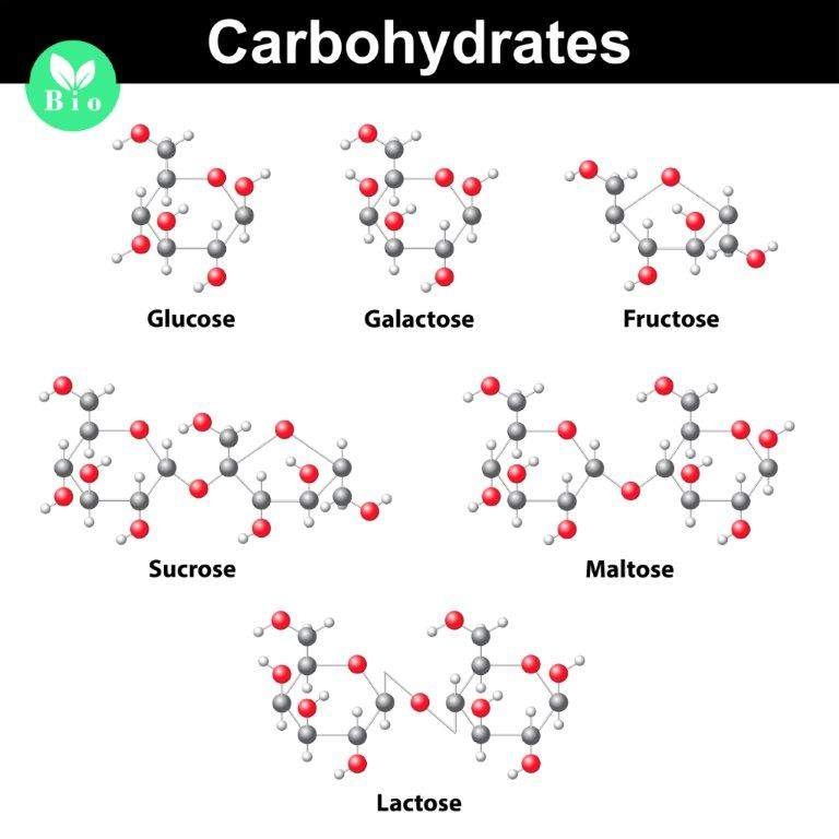 2.1 Introduction to Biomolecules and Cell Components Chemistry